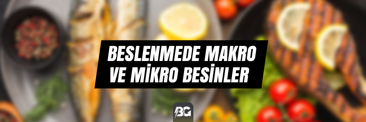 BESLENMEDE MAKRO VE MİKRO BESİNLER BESLENMEDE MAKRO VE MİKRO BESİNLER